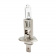 ���������� ����� H1 MTF Standard +30% 12V